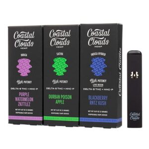 coastal clouds high potency delta 8 vaporizer 2000mg