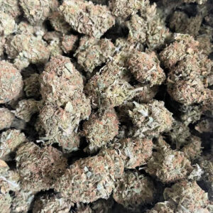 Granddaddy Purple (GDP) Indoor