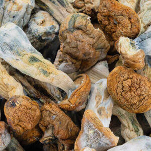 Penis Envy Shrooms (+ other cubes)